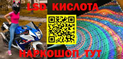 винт Сланцы