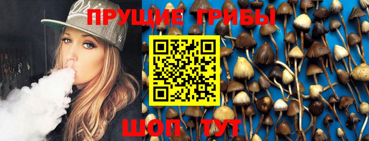 Новоуральск  Галлюциногенные грибы Cubensis  что такое   Вход с VPN  Галлюциногенные грибы прущие грибы 