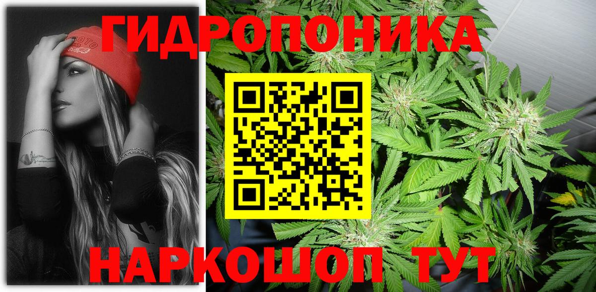 Бошки Шишки сатива  Вход с VPN  Новоуральск  Шишки марихуана конопля  Конопля планчик 